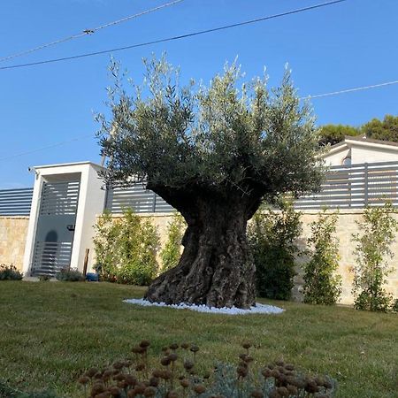 Villa Palladino Rooms Giovinazzo Eksteriør bilde